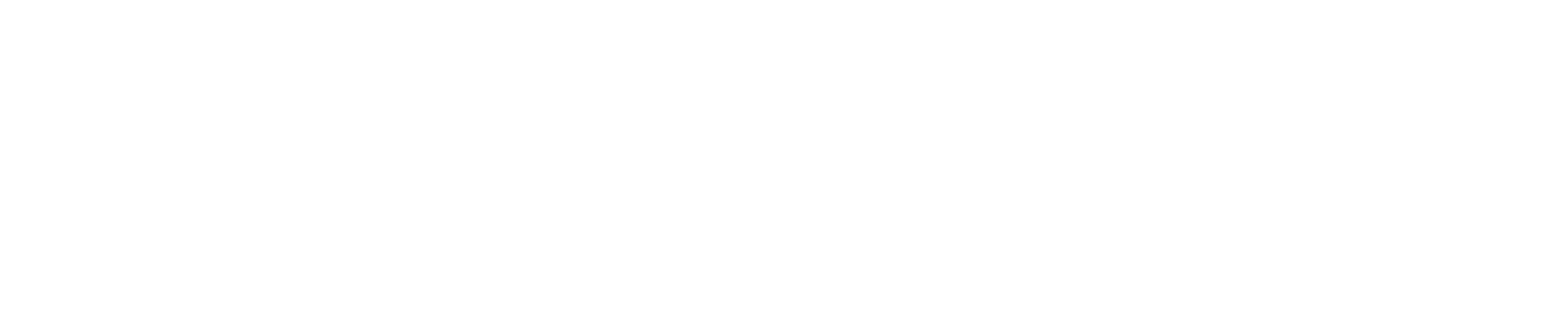 linkneur-high-resolution-logo-white-transparent